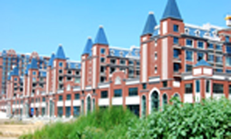 魯輝國際城.jpg