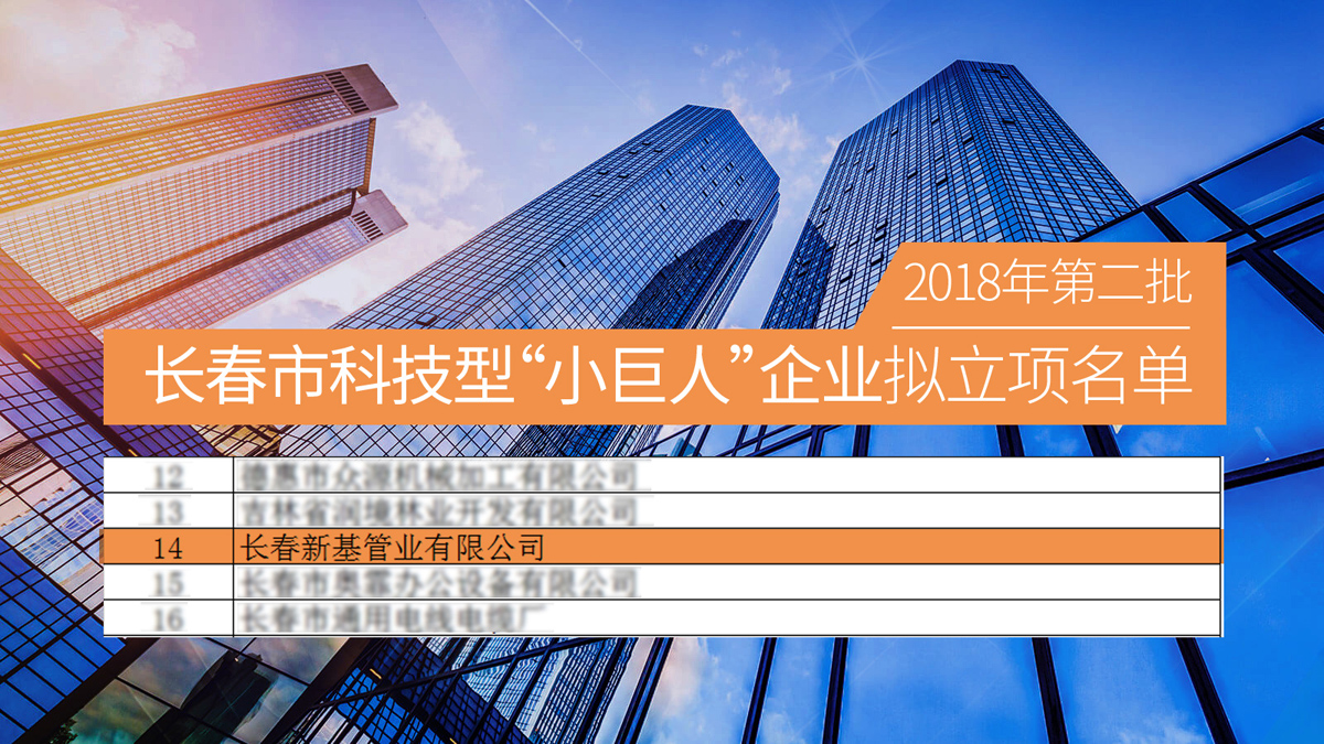 小巨人擬立項目名單副本2222.jpg